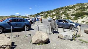 MARSEILLE - CALLELONGUE - 17.04.2024 - 13